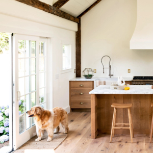 golden-retriever-white-oak-flooring.jpg